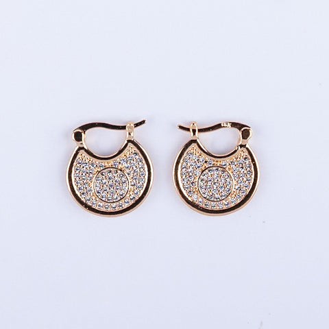Hoop Earrings
