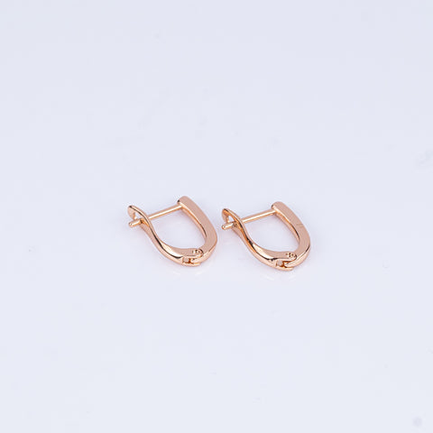 Everyday Luxe Mini Hoops