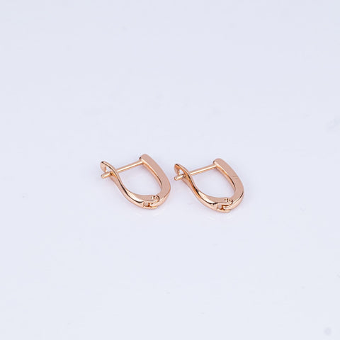 Sleek Minimalist D-Shaped Mini Hoops